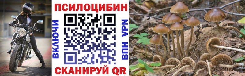 Псилоцибиновые грибы Psilocybe  наркошоп  Тырныауз 